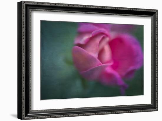 Vining Geranium Bud, Digitally Altered-Rona Schwarz-Framed Photographic Print