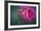 Vining Geranium Bud, Digitally Altered-Rona Schwarz-Framed Photographic Print