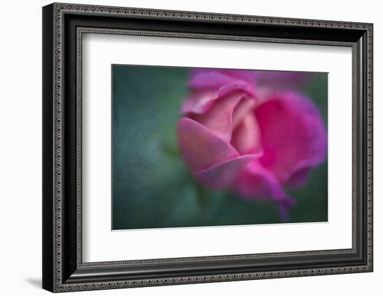 Vining Geranium Bud, Digitally Altered-Rona Schwarz-Framed Photographic Print