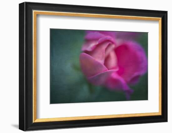 Vining Geranium Bud, Digitally Altered-Rona Schwarz-Framed Photographic Print