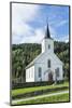 Vinje Church with Red Door and Forest of Trees, Vinje, Norway-Bill Bachmann-Mounted Photographic Print