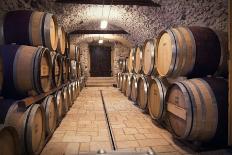 Ancient Wine Cellar-Vinne-Premium Giclee Print