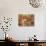 Vino Nobile-Michael Longo-Premium Giclee Print displayed on a wall