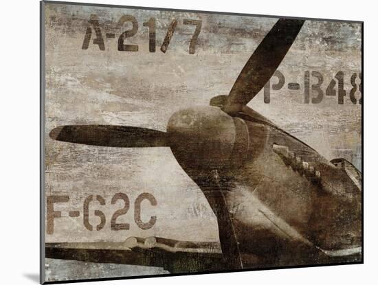 Vintage Airplane-Dylan Matthews-Mounted Art Print