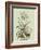 Vintage Aloe II-Abraham Munting-Framed Art Print