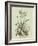 Vintage Aloe II-Abraham Munting-Framed Art Print