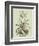 Vintage Aloe II-Abraham Munting-Framed Art Print