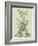 Vintage Aloe III-Abraham Munting-Framed Art Print