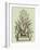 Vintage Aloe IV-Abraham Munting-Framed Art Print