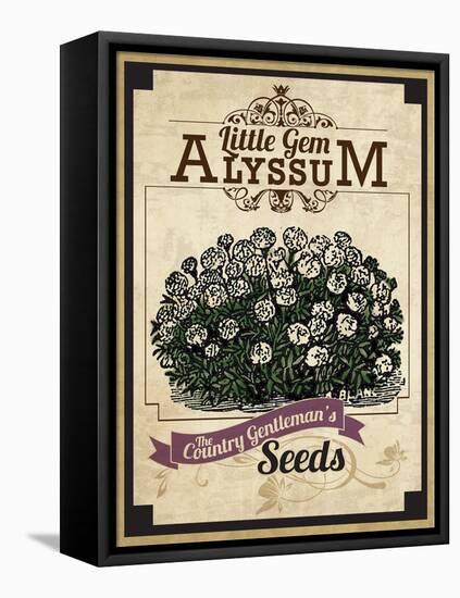 Vintage Alyssum Seed Packet-null-Framed Premier Image Canvas