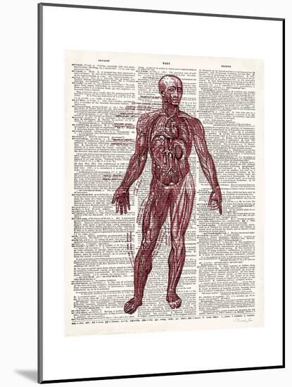 Vintage Anatomy Book-Christopher James-Mounted Premium Giclee Print