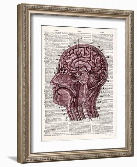 Vintage Anatomy Brain-Christopher James-Framed Art Print