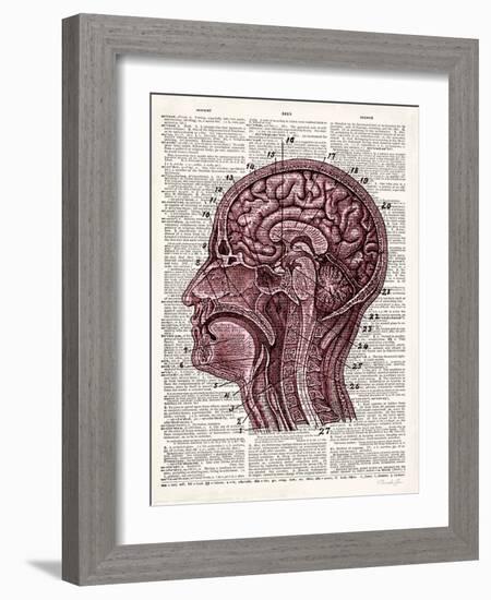 Vintage Anatomy Brain-Christopher James-Framed Art Print