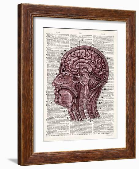 Vintage Anatomy Brain-Christopher James-Framed Art Print