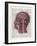 Vintage Anatomy Brain-Christopher James-Framed Art Print