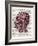 Vintage Anatomy Brain-Christopher James-Framed Art Print