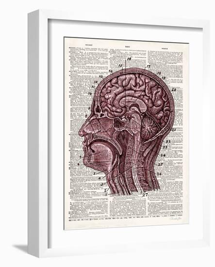 Vintage Anatomy Brain-Christopher James-Framed Art Print