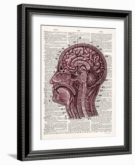 Vintage Anatomy Brain-Christopher James-Framed Art Print