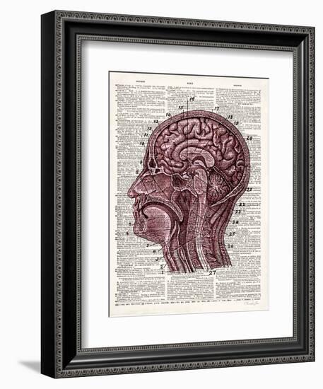 Vintage Anatomy Brain-Christopher James-Framed Art Print