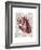 Vintage Anatomy Heart-Christopher James-Framed Premium Giclee Print