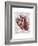 Vintage Anatomy Heart-Christopher James-Framed Premium Giclee Print