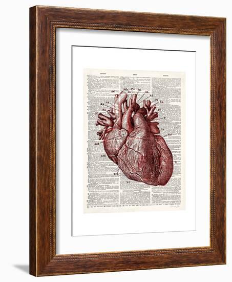 Vintage Anatomy Heart-Christopher James-Framed Premium Giclee Print