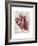 Vintage Anatomy Heart-Christopher James-Framed Premium Giclee Print