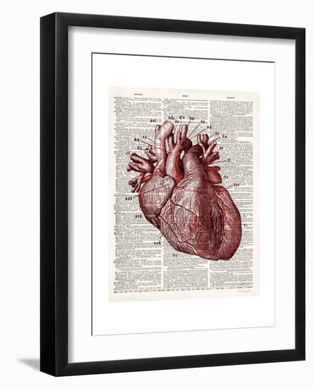 Vintage Anatomy Heart-Christopher James-Framed Premium Giclee Print