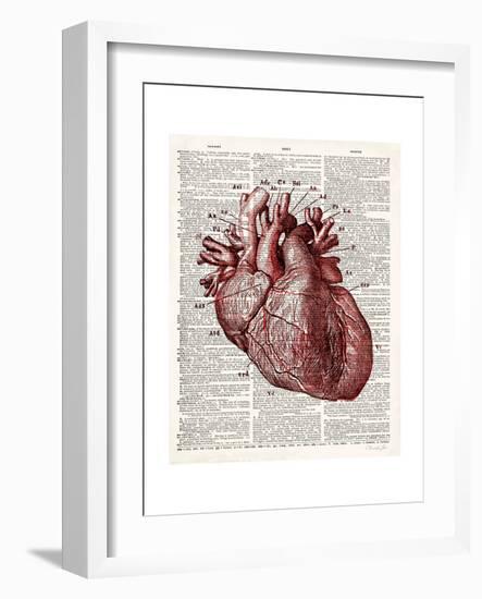 Vintage Anatomy Heart-Christopher James-Framed Premium Giclee Print