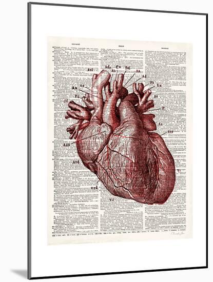 Vintage Anatomy Heart-Christopher James-Mounted Premium Giclee Print