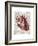 Vintage Anatomy Heart-Christopher James-Framed Premium Giclee Print