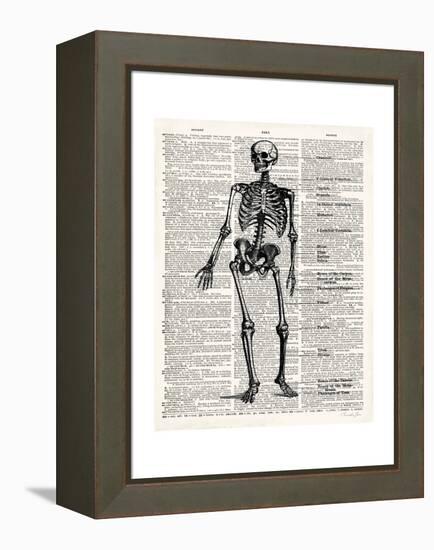 Vintage Anatomy Skeleton-Christopher James-Framed Stretched Canvas