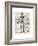 Vintage Anatomy Skeleton-Christopher James-Framed Premium Giclee Print