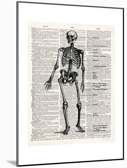 Vintage Anatomy Skeleton-Christopher James-Mounted Premium Giclee Print