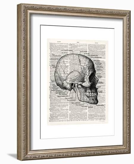 Vintage Anatomy Skull-Christopher James-Framed Premium Giclee Print