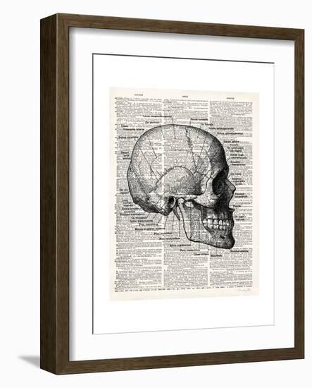 Vintage Anatomy Skull-Christopher James-Framed Premium Giclee Print