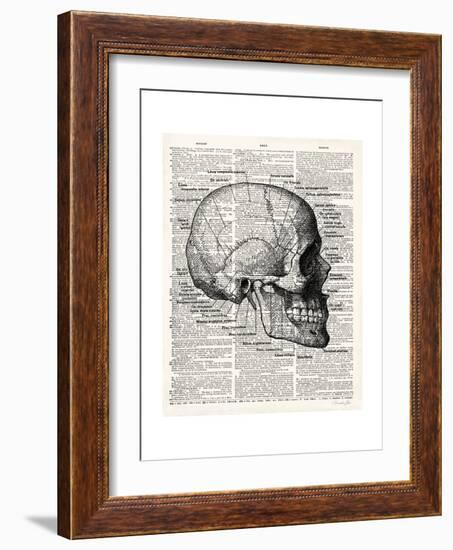 Vintage Anatomy Skull-Christopher James-Framed Premium Giclee Print