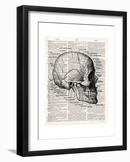 Vintage Anatomy Skull-Christopher James-Framed Premium Giclee Print