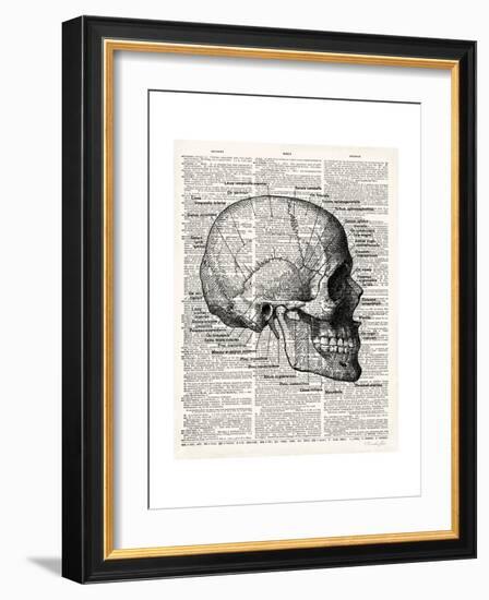 Vintage Anatomy Skull-Christopher James-Framed Premium Giclee Print