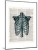 Vintage Anatomy Study-Christopher James-Mounted Premium Giclee Print