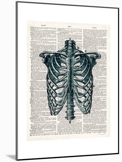 Vintage Anatomy Study-Christopher James-Mounted Premium Giclee Print