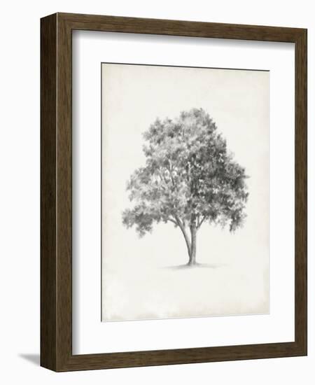 Vintage Arbor Study I-Ethan Harper-Framed Premium Giclee Print