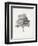 Vintage Arbor Study I-Ethan Harper-Framed Premium Giclee Print