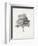 Vintage Arbor Study I-Ethan Harper-Framed Premium Giclee Print