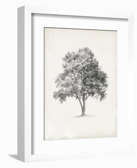 Vintage Arbor Study I-Ethan Harper-Framed Premium Giclee Print