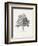 Vintage Arbor Study I-Ethan Harper-Framed Premium Giclee Print