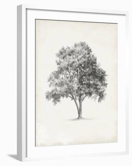 Vintage Arbor Study I-Ethan Harper-Framed Art Print