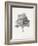 Vintage Arbor Study I-Ethan Harper-Framed Art Print