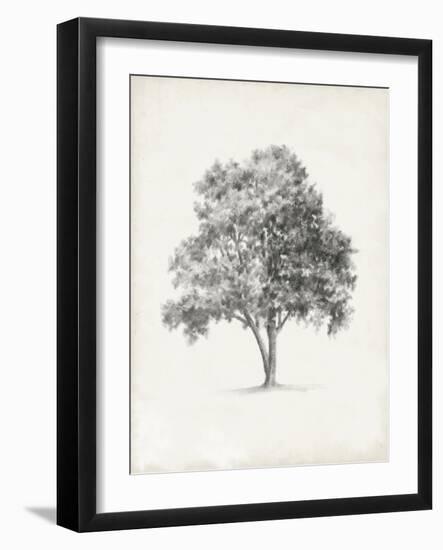 Vintage Arbor Study I-Ethan Harper-Framed Art Print
