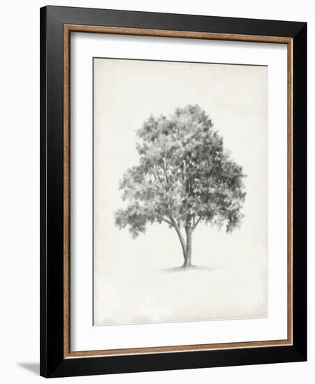 Vintage Arbor Study I-Ethan Harper-Framed Art Print